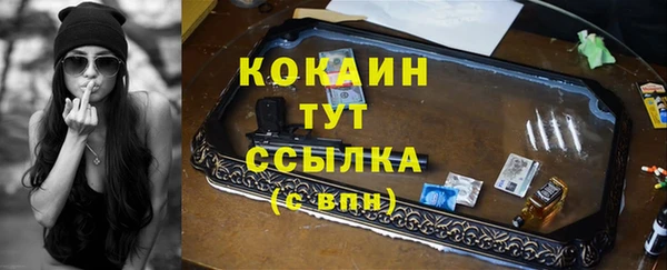 spice Верея