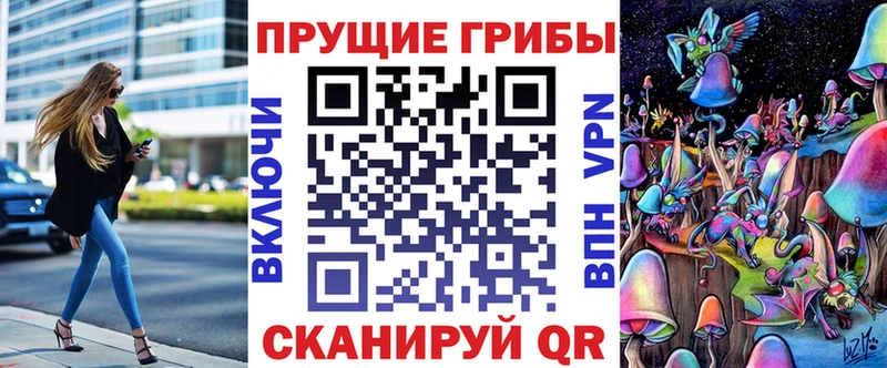 Псилоцибиновые грибы Psilocybe  Купить где  Кремёнки 